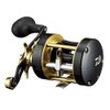 Daiwa 17 Seahawk 300 Far Throw