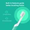 quip Electric Toothbrush, Built-In Timer + Travel Case, Magenta Plastic