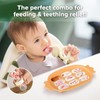 Haakaa Baby Fruit Food Feeder & Silicone Freezer Nibble Tray