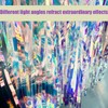 2 Pcs Iridescent Tinsel, Iridescent Backdrop, Holographic Tinsel Foil Fringe