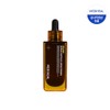 Mediheal Derma Ampoule (Select 1 of 4: Tea Tree Moisture