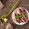 Heavy-Duty 304 Stainless Steel Ice Cream Scoop, Durable, Corrosion-Resistant &