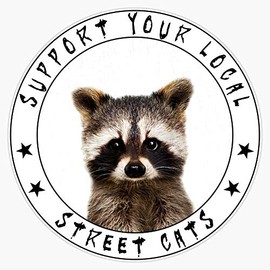 Leyland Designs Baby Racoon - Support Your Local Street Cats Sticker Outdoor Rated Vinyl Sticker Decal for Windows, Bumpers, Laptops or Crafts 5"
