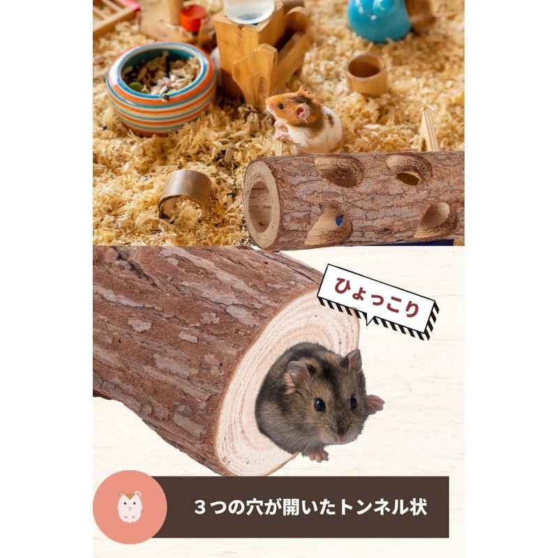 Croixx Hamster Toothpaste (Natural Wood), Rabbit, Tegu, Small Animal, Toy,