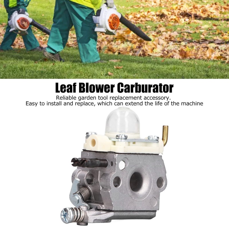 LAJS CARBOHYDRATE, STABLE WORKING EFFICIENCY RELIABLE STANDARD DESIGN CARBURTOR FOR