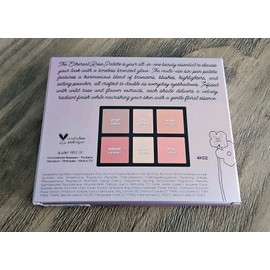 WINGME Ethereal Rose Face and Eyeshadow Palette Light-Medium NIB