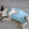 KUVEELA Pet Dog Clothing, Postoperative Wear, French Bulldog Pug, Alternative