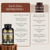 Earth Elixir Berberina 1200 Resveratrol 400 Coq10 200 Canela Ceilán