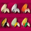 rodeo craft noah - w 2.4g #1 gold