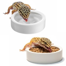 JREEPEE Escape-Proof Reptile Food Dish Bowl, Ceramic Reptile Feeding Dish & Small Animal Bowl for Lizard, Leopard Gecko, Hermit Crab, Hamster, Anti Escape Live Food & Water Dish (3x1in) 2PCS