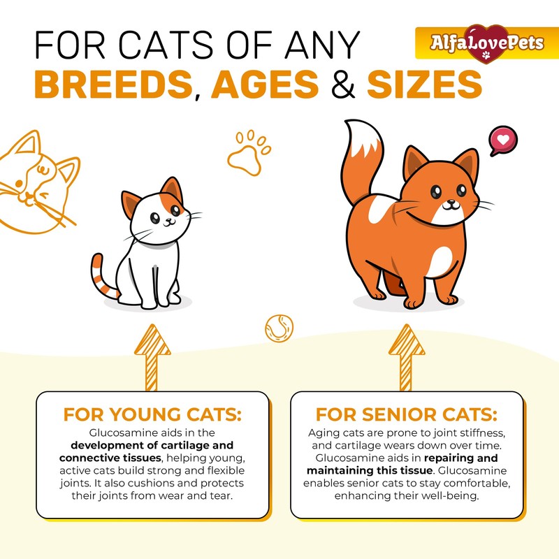 Cat Joint Supplement for All Breeds – Glucosamine for Cats