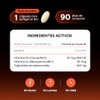 VITANNA Vitamina D3 + K2 con MCT Oil