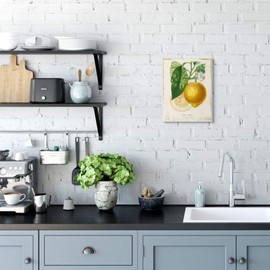 Stupell Industries Yellow Lemon Citrus Blossom with French Script Wood Art by Studio W Wall Plaque, 10 x 15