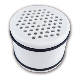 Replacement Filter Cartridge for Paragon Luxury Hand-Held Shower Head