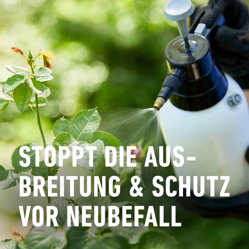 Compo Duaxo® universal fungus-free plant protector