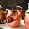 Moscow Mule Mug 600ml Capacity Stainless Steel Beer Cocktail Cup