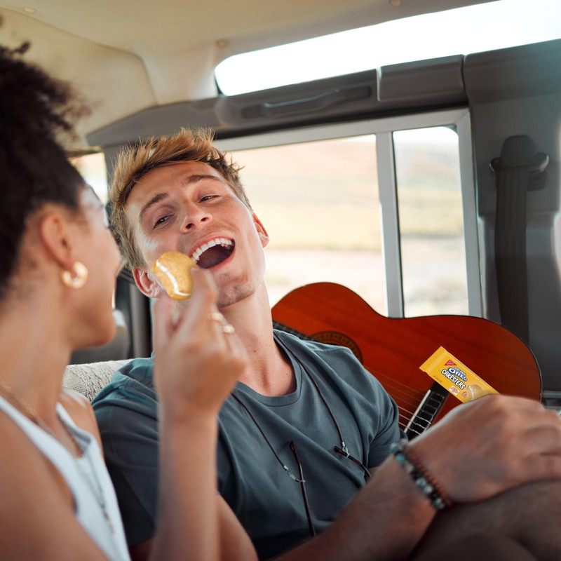 OREO Cakesters Soft Snack Cakes Variety Pack, 3-5 Count Packs