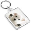 Westie Puppy Keyring West Highland Terrier Dog White Cute Fun