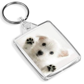 Westie Puppy Keyring West Highland Terrier Dog White Cute Fun Keyring #8954