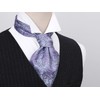 HISDERN Ascot Ties for Men Purple Paisley Cravat and Pocket