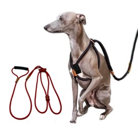 andsand. Slip Rope Harness, Deco Pin, Goods, Deco Pin, No Shedding Harness (Red)