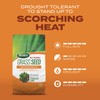 Scotts Turf Builder Grass Seed Bermudagrass – Lawn Seed with