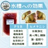 Satoyama Medaka 5 Himetanishi & High Concentration PSB (Photosynthetic Bacteria),