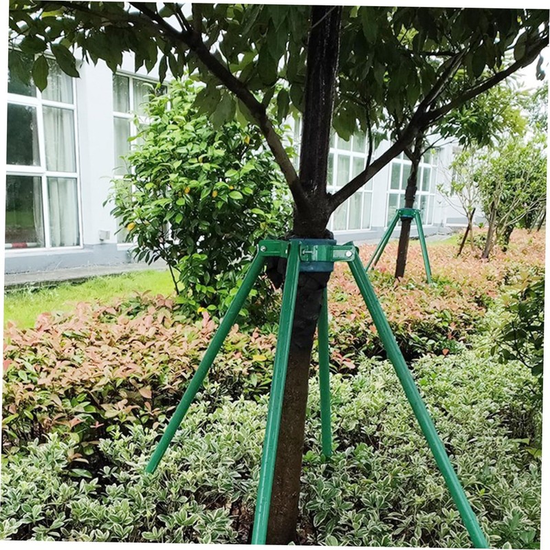 Gatuida Tree Fixing Tool Durable Iron Metal Supportive Rack for