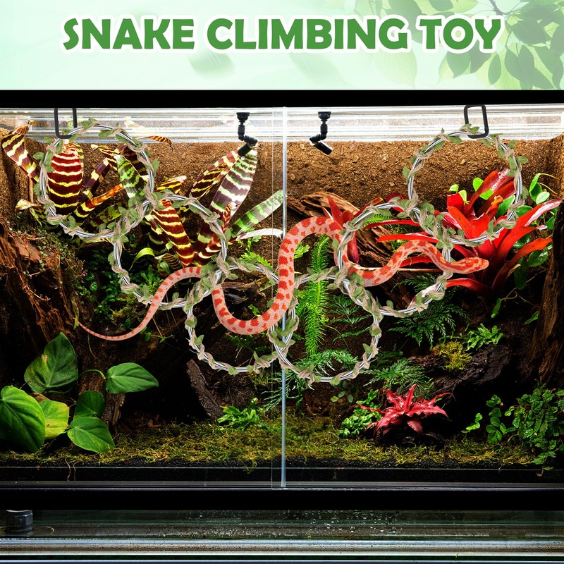 1+1 Big Snake Enrichment Rings for Ball Python, Climbing Toys