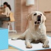 Puppy Pee Pads for Dogs - 32"x36" Extra Large, 14