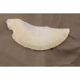 3-7/8" Long Banded Brazilian Agate Solid Stone Flint Knapped/Knapping Pressure Flaked Domed Knife Blade Knife Dagger Gem Point Great D.I.Y. Knife Project