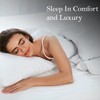 Linens World Egyptian Cotton Fitted Sheets Breathable, Anti Wrinkle 40cm