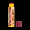 Burt's Bees Lipbalm Stick
