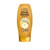 Garnier Whole Blends Shampoo and Conditioner