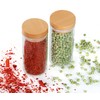 Zassenhaus 2 Spice Jars for Spice Rack, Borosilicate Glass, Beech,