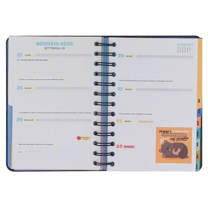 Mr. Wonderful Academic Diary 2024-25 Weekly Promising Projects and Dreams