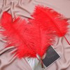 Ballinger Red Ostrich Feathers Bulk - 24Pcs 8-10inch Feathers for