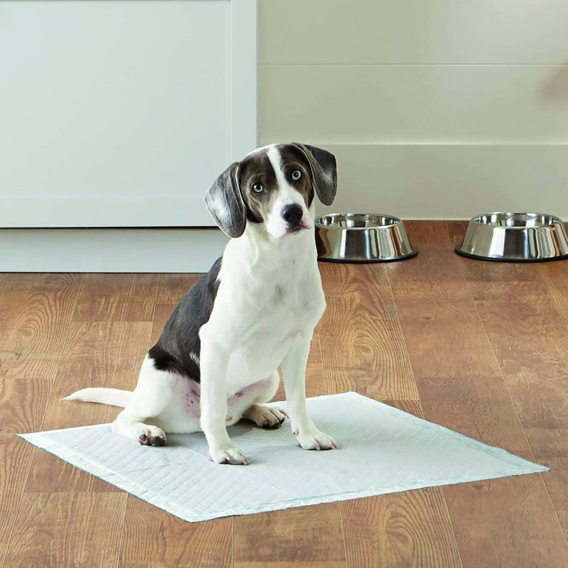 Croci Pack of 10 Absorbent Dog Nappies 60cm x 40cm