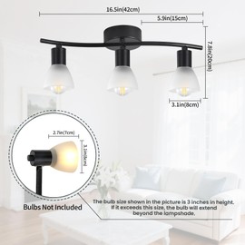 KEESFU 3 Light Track Lighting Fixtures Ceiling,Adjustable Directional Ceiling Lights with Glass Shade,Industrial Ceiling Spotlight for Kitchen Over Sink Bedroom Hallway Living Room,E12base.