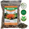 Muicle Mexican Honeysuckle 1/2 POUND /8.1 oz Herbal tea 100%