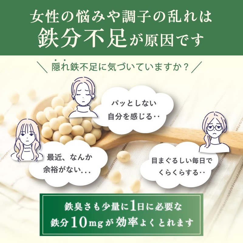 フェリチンセレクト 鉄 10mg フェリチン鉄 ヘム鉄 葉酸 ビタミンC サプリメント 漢方生薬研究所 (3袋)