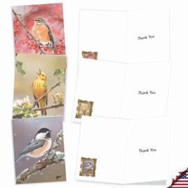 The Best Card Company - 20 Assorted Boxed Thank You Note Cards with Envelopes (4 x 5.12 Inch) - Bird Beauties AM9616TYG-B2x10