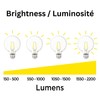 Luminus Led A19 Bulbs E26 Base 60W Equivalent (9W) 750