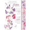 A Special Birthday Message just for You Sister Card ~