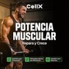 CELLX | Post Workout Suplemento Deportivo con BCAAs 2:1:1, Beta