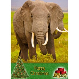 Elephant Christmas Card 'Happy Christmas' - Special Xmas Card for Him Her Kids Male Female