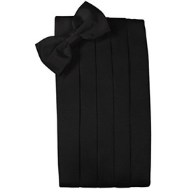 David's Formal Wear Big and Tall Black Silk Cummerbund and Bow Tie Set