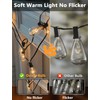 Oviejo 25 Pack Edison Light Bulbs, ST35 Clear Glass Light