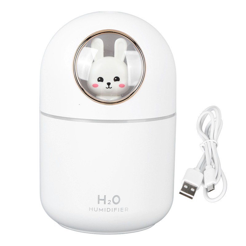 Humidifier Aroma Diffuser USB Power Supply 300ml Capacity Auto Shutdown
