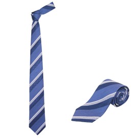 Jnjstella - Corbata de seda extra larga para hombre con caja de regalo, Type 7, Talla única